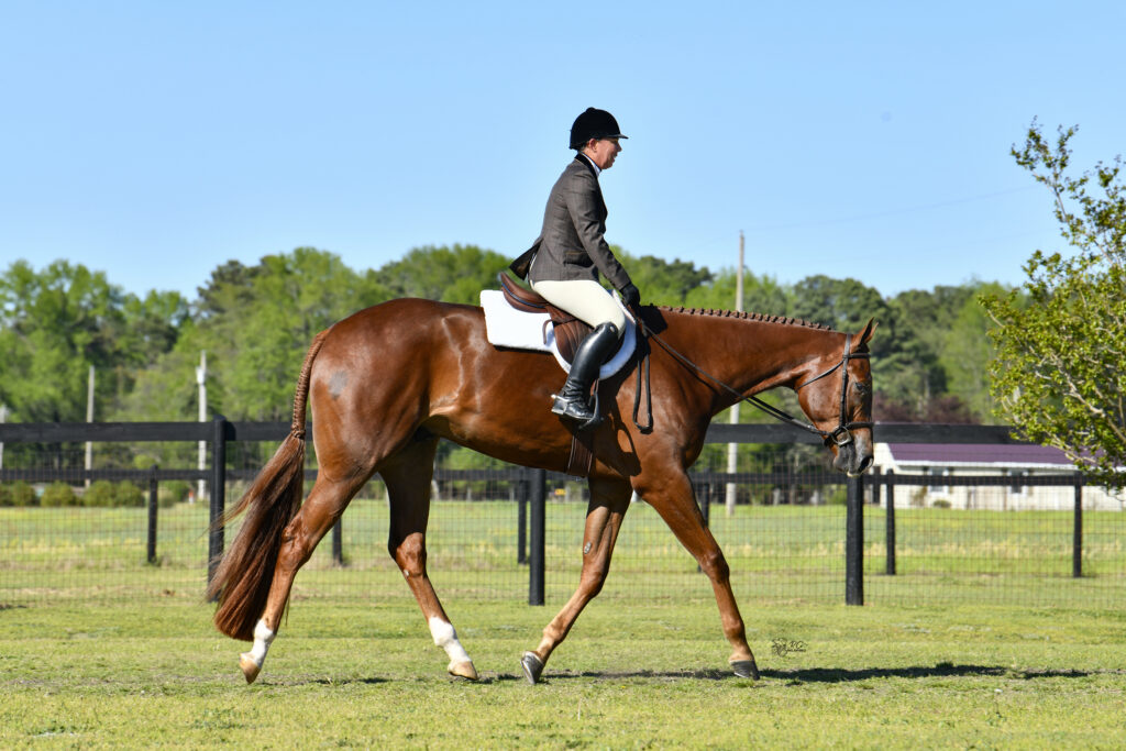 Jennifer Reams and the 3 year old quarter horse Hunt N Hotties