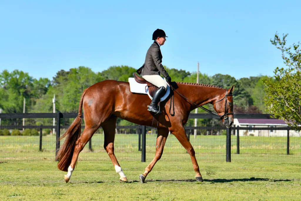 Jennifer Reams and the 3 year old quarter horse Hunt N Hotties