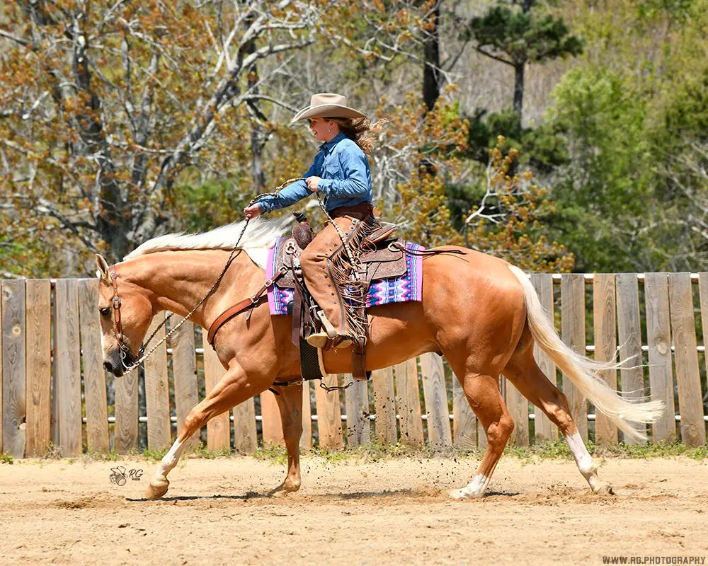 Preslee May and her Palomino quarter horse Uptown Shine